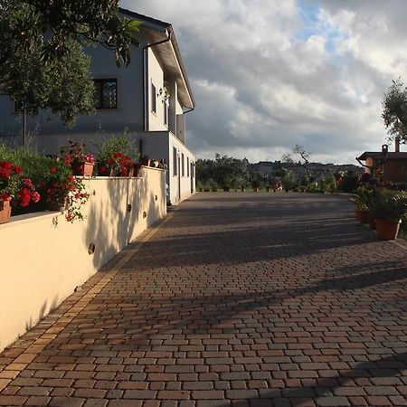 B&B La Terrazza Di Фраскати Экстерьер фото
