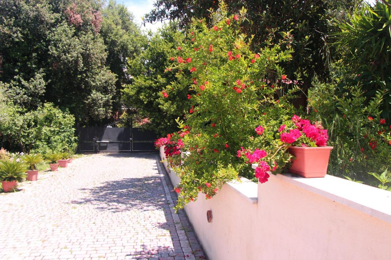 B&B La Terrazza Di Фраскати Экстерьер фото